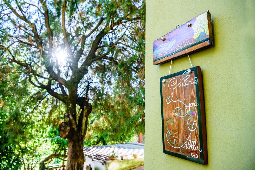 סאן צ'יפריאנו פיצ'נטינו Acasamia Resort מראה חיצוני תמונה